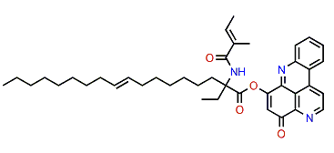 Cystodytin I